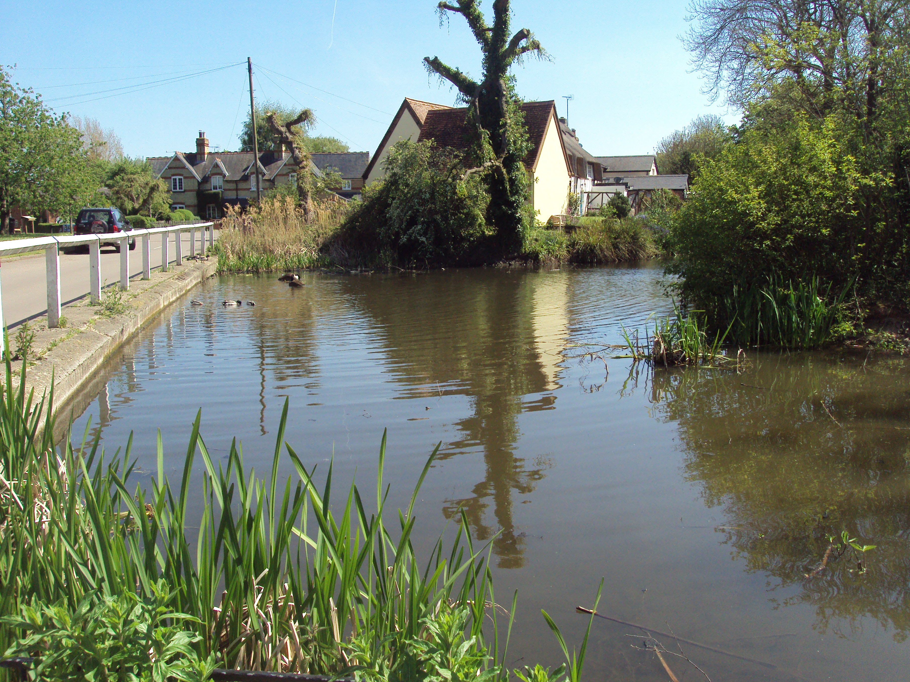 blacksmiths pond